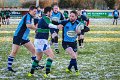 Monaghan Legends V Perennials (6)